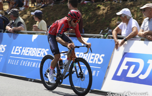 CHAMPIONNAT DE FRANCE ELITE